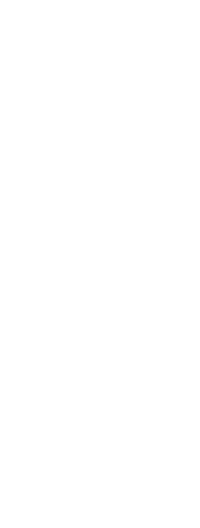 藤崎宮｜熊本総鎮守 藤崎八旛宮｜確認用ステージングサイト